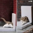 画像1: JxK Studio 1/6 壁を通り抜ける猫 4種 JXK137 *予約