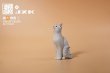 画像14: 童留盒場 × JxK Studio 1/6 猫の物語 見上げる猫 4種 ジオラマ TH2201 *予約