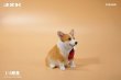 画像9: JxK Studio 1/6 ぽっちゃりコーギー犬 3種 JXK140 *予約