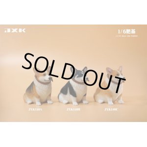 画像: JxK Studio 1/6 ぽっちゃりコーギー犬 3種 JXK140 *予約