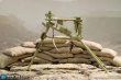 画像17: DID 1/6 E60069 Tripod for MG34 機関銃 アクションフィギュア 用 2種 *予約