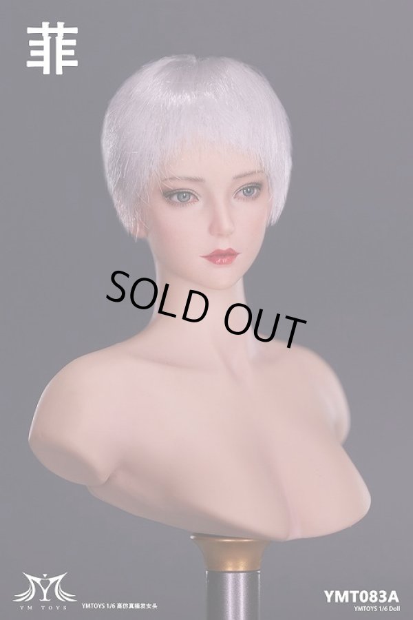 1/6 女性ヘッド（銀髪ショート）YMT-083Aの通販 by Yuji's shop