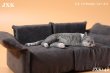 画像1: JxK Studio 1/6 眠る猫 4.0 ソファ付き 4種 JXK142 *予約