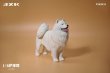 画像3: JxK Studio 1/6 サモエド ドッグ 犬 2種 JXK143 *予約