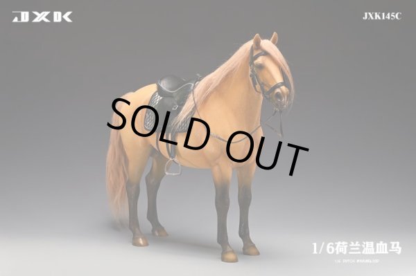 JxK Studio JXK145 1/6 ダッチウォームブラッド オランダ温血馬 JxK Studio JXK145 1/6 ダッチウォームブラッド オランダ温血馬