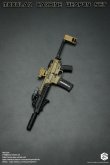 画像2: Easy & Simple 1/6 Modular Carbine Weapon Set (06035) ABCDEF- 6種  *予約　