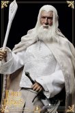 画像6: Asmus Toys 1/6 白のガンダルフ with 飛蔭 GANDLAF THE WHITE with Shadowfax アクションフィギュア LOTR003 *予約