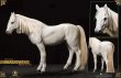 画像19: Asmus Toys 1/6 白のガンダルフ with 飛蔭 GANDLAF THE WHITE with Shadowfax アクションフィギュア LOTR003 *予約