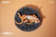 画像3: JxK Studio 1/6 あおむけ ごろ寝 キャット 猫 / Lethargic Cat 5.0 JXK152 4種 *予約