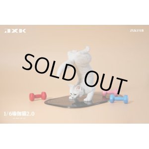 画像: JxK Studio 1/6 ヨガ キャット 猫 2.0 ≪マット+バーベル付き≫ JXK151 4種 *予約