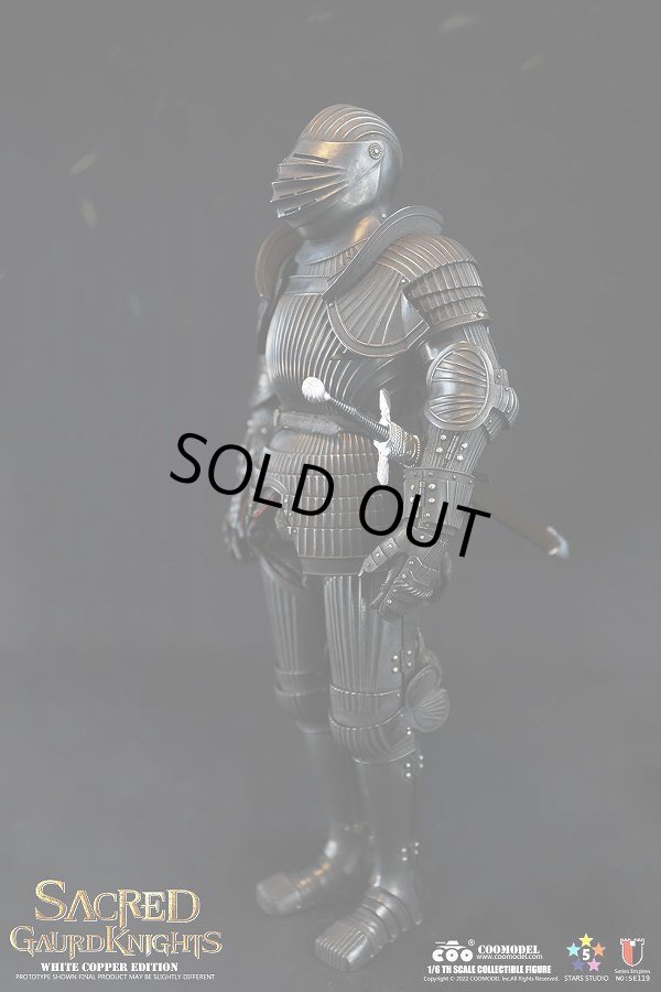 COOMODEL SE118 SE119 1/6 セイクリッド ガードナイト SACRED