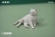 画像12: JxK Studio 1/6 猫 “なんだ、お前は？”  5種 JXK153 *予約