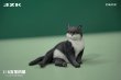 画像14: JxK Studio 1/6 猫 “なんだ、お前は？”  5種 JXK153 *予約