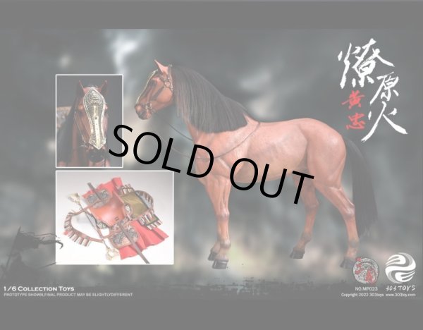 黄忠フィギュア 61+-mThS0jL._UF894,1000_QL80_.jpg