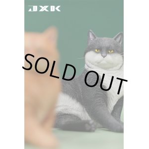 画像: JxK Studio 1/6 猫 “なんだ、お前は？”  5種 JXK153 *予約