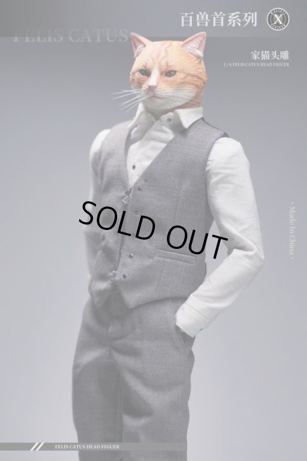 1/6 ヘッド ネコ A Gray（MOS-2206A）6875 Mostoys 1/6 猫 ネコ ヘッド アクションフィギュア用 MS2206 - 1