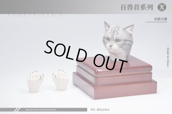 Mostoys 1/6 猫 ネコ ヘッド アクションフィギュア用 MS2206 - 1