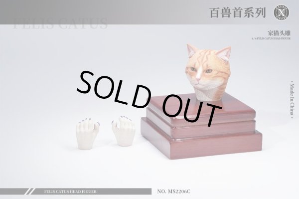 1/6 ヘッド ネコ C Orange Stripe（MOS-2206C） 1/6 ヘッド ネコ C Orange Stripe（MOS-2206C）の通販 by Yuji's