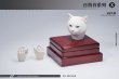 画像14: Mostoys 1/6 猫 ネコ ヘッド 4種 MS2206 *お取り寄せ