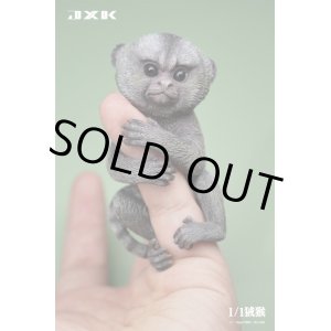 画像: JxK Studio ピグミーマーモセット 1/1 リアルサイズ JXK155 *予約