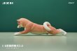 画像17: JxK Studio 1/6 柴犬とバルーン 3種 JXK157 *予約