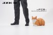 画像14: JxK Studio 1/6 段ボールに収まる猫 4種 JS2302 *予約