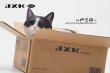 画像12: JxK Studio 1/6 段ボールに収まる猫 4種 JS2302 *予約