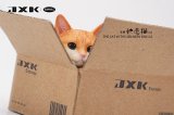 画像: JxK Studio 1/6 段ボールに収まる猫 4種 JS2302 *予約