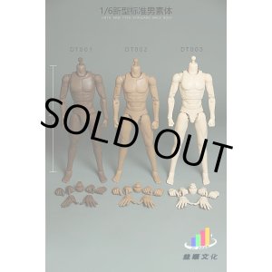 画像: Yishun Culture 1/6 スタンダード男性素体 ナローショルダー メイルボディ 3種 DT001 DT002 DT003 *予約