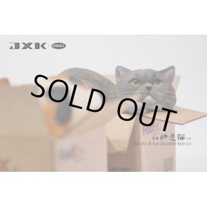 画像: JxK Studio 1/6 段ボールに収まる猫 3.0 4種 JS2305 *予約