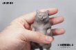 画像9: JxK Studio 1/6 無防備すぎる猫 マット 4種 JXK170 *予約