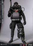 画像9: DAMTOYS 1/6 中国人民解放軍海軍陸戦隊 コンバットダイバー アクションフィギュア 78073 *予約