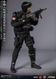 画像21: DAMTOYS 1/6 中国人民解放軍海軍陸戦隊 コンバットダイバー アクションフィギュア 78073 *予約