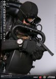 画像11: DAMTOYS 1/6 中国人民解放軍海軍陸戦隊 コンバットダイバー アクションフィギュア 78073 *予約