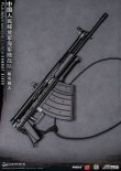 画像40: DAMTOYS 1/6 中国人民解放軍海軍陸戦隊 コンバットダイバー アクションフィギュア 78073 *予約