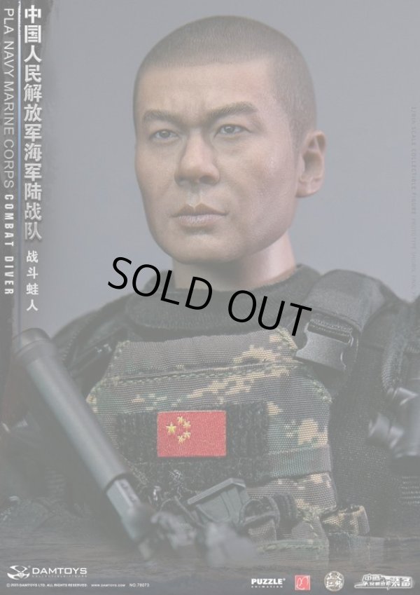 Ready! DAMTOYS DAM 78073 1/6 PLA Navy Marine Corps Combat
