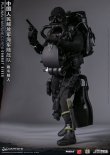 画像12: DAMTOYS 1/6 中国人民解放軍海軍陸戦隊 コンバットダイバー アクションフィギュア 78073 *予約