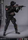 画像23: DAMTOYS 1/6 中国人民解放軍海軍陸戦隊 コンバットダイバー アクションフィギュア 78073 *予約