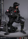 画像18: DAMTOYS 1/6 中国人民解放軍海軍陸戦隊 コンバットダイバー アクションフィギュア 78073 *予約