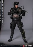 画像22: DAMTOYS 1/6 中国人民解放軍海軍陸戦隊 コンバットダイバー アクションフィギュア 78073 *予約