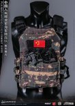 画像33: DAMTOYS 1/6 中国人民解放軍海軍陸戦隊 コンバットダイバー アクションフィギュア 78073 *予約