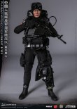 画像16: DAMTOYS 1/6 中国人民解放軍海軍陸戦隊 コンバットダイバー アクションフィギュア 78073 *予約