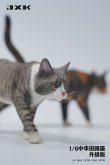 画像21: JxK Studio 1/6 ネコ 散歩猫 2.0 Ver. 5種 JXK176 *お取り寄せ