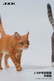 画像23: JxK Studio 1/6 ネコ 散歩猫 2.0 Ver. 5種 JXK176 *お取り寄せ