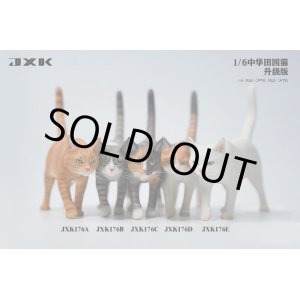 画像: JxK Studio 1/6 ネコ 散歩猫 2.0 Ver. 5種 JXK176 *お取り寄せ