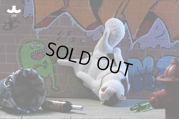 ねころく① 41MwWZTLnbL._AC_UF894,