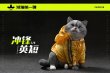 画像6: JXK Studio 1/4 お座り 猫 ショートヘアー キャット 4種 CW2301 *予約