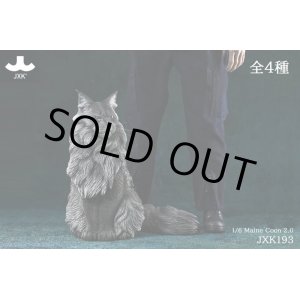 画像: JXK Studio 1/6 メインクーン 猫 2.0 4種 JXK193 *お取り寄せ