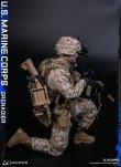 画像16: DAMTOYS 1/6 アメリカ海兵隊 グレナディア 擲弾兵 アクションフィギュア 78101 *予約