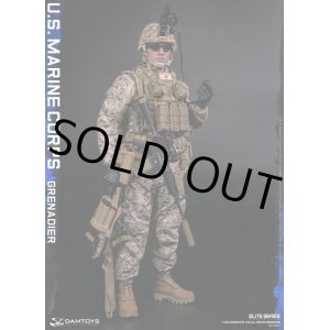 画像: DAMTOYS 1/6 アメリカ海兵隊 グレナディア 擲弾兵 アクションフィギュア 78101 *予約